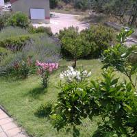 Two-Bedroom Apartment with Garden View