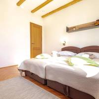 Superior Twin Room with Garden View
