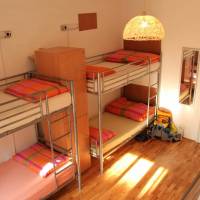 Single Bed in Mixed Dormitory Room