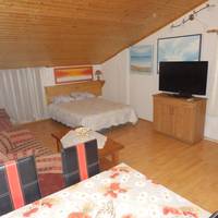 One-Bedroom Apartment with Sofa Bed