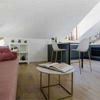 One-Bedroom Apartment - Attic