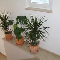 One-Bedroom Apartment (2 - 4 Adults)