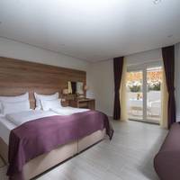 Double Room with Mountain View and Balcony