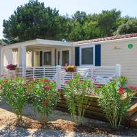 Two-Bedroom Camping Home with Terrace