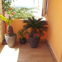 One-Bedroom Apartment with Balcony and Sea View (3+1) Nr.2