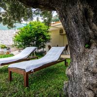 Standard Double Room with Garden View