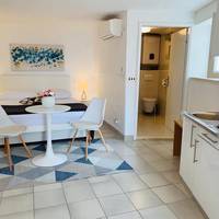 Studio Apartment with Terrace