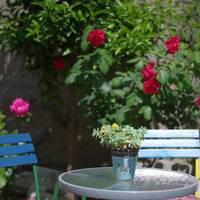 Double Room with Garden View