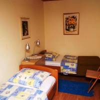 One-Bedroom Apartment with Sofa Bed