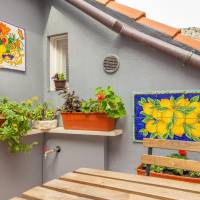 Studio with Terrace