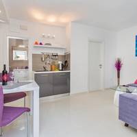 Deluxe One-Bedroom Apartment