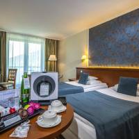 Premium Double or Twin Room