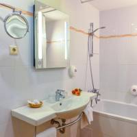Superior Double or Twin Room with Danube View
