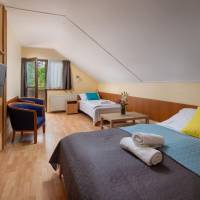 Triple Room with Balcony