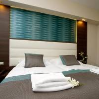 Superior Double or Twin Room - Attic