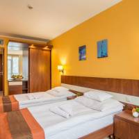 Double or Twin Room with Extra Bed