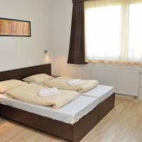 Deluxe Two-Bedroom Apartment