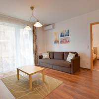 Deluxe One-Bedroom Apartment