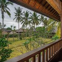 Deluxe Rice field View