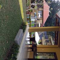 Deluxe Double Room with Ricefield and Pool View