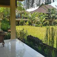 Deluxe Twin Room with Ricefield and Pool View