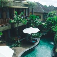 Deluxe Twin Room with Pool View