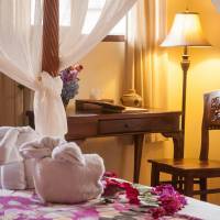 Premium King Room with Garden View
