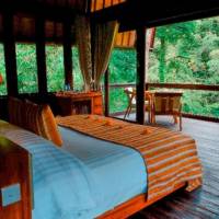 Room #17688727