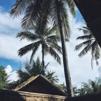 Bungalow Twin Room