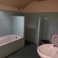 Single Bed in Mixed Dormitory Room