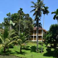 Special Offer - Bukit Lawang Tour Package at Deluxe Cottage