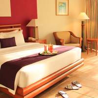 Superior Double Room with Garden View