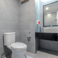 Delxue Twin Room