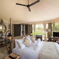 Room #181104412
