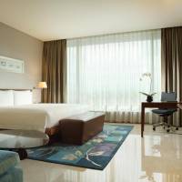King Deluxe Plus Room