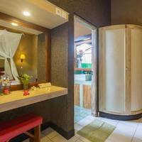 Deluxe Double or Twin Room with Garden View