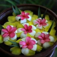 Special Offer - Balinese Massage at Garden Chalet