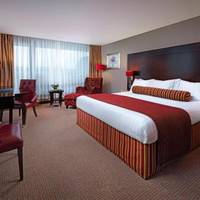 Room #26021914