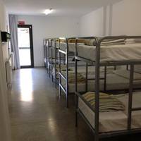 Bunk Bed in Mixed Dormitory Room with Shared Bathroom