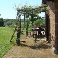 Studio with Garden View