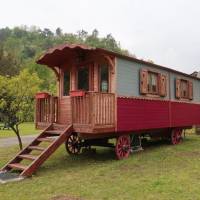 Mobile Home