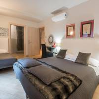 Suite Deluxe with Private Terrace