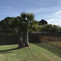 Superior Villa
