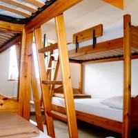 Single Bed in Mixed Dormitory Room