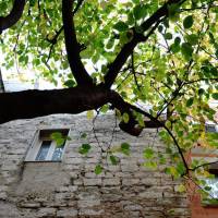 Double Room with Balcony - Separate Building