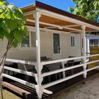 Mobile Home
