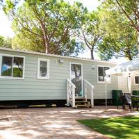 Mobile Home Economy