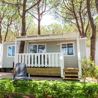 Mobile Home Standard