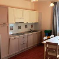 Deluxe Three-Bedroom Apartment