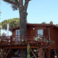 Tree House